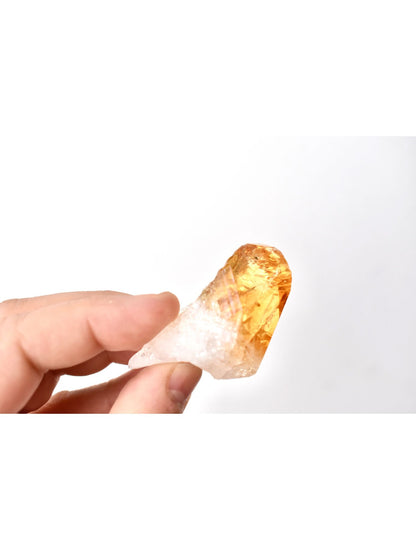 Open Heart Apothecary Roh Citrin Kristallpunkte Gelb Heilung Riki Mineral